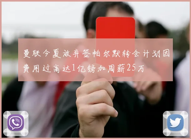 曼联今夏放弃签帕尔默转会计划因费用过高达1亿镑加周薪25万
